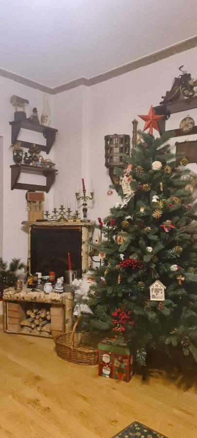 Pensiunea Bradet Brosteni Buitenkant foto