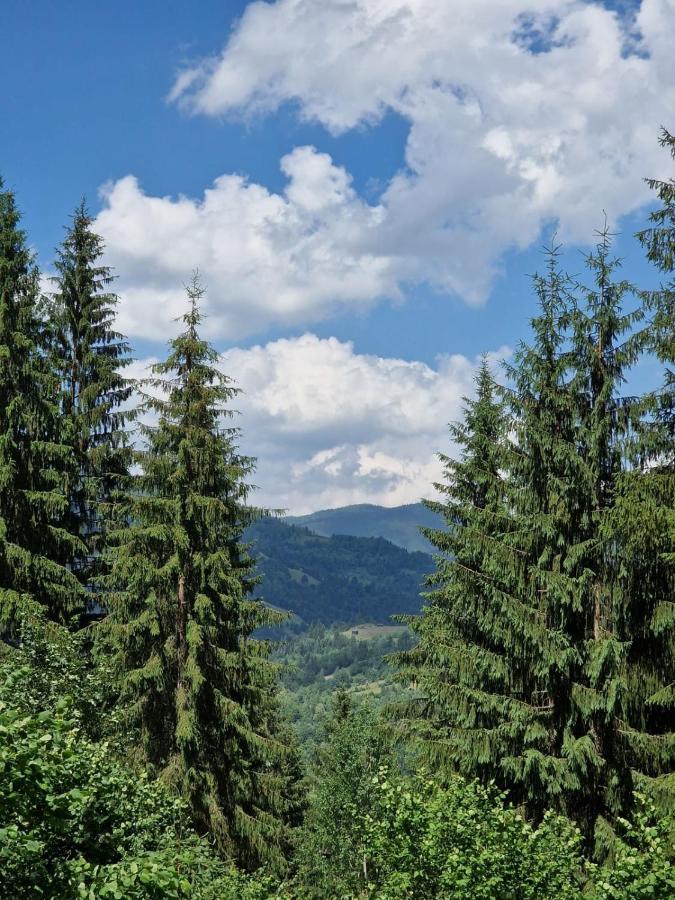 Pensiunea Bradet Brosteni Buitenkant foto