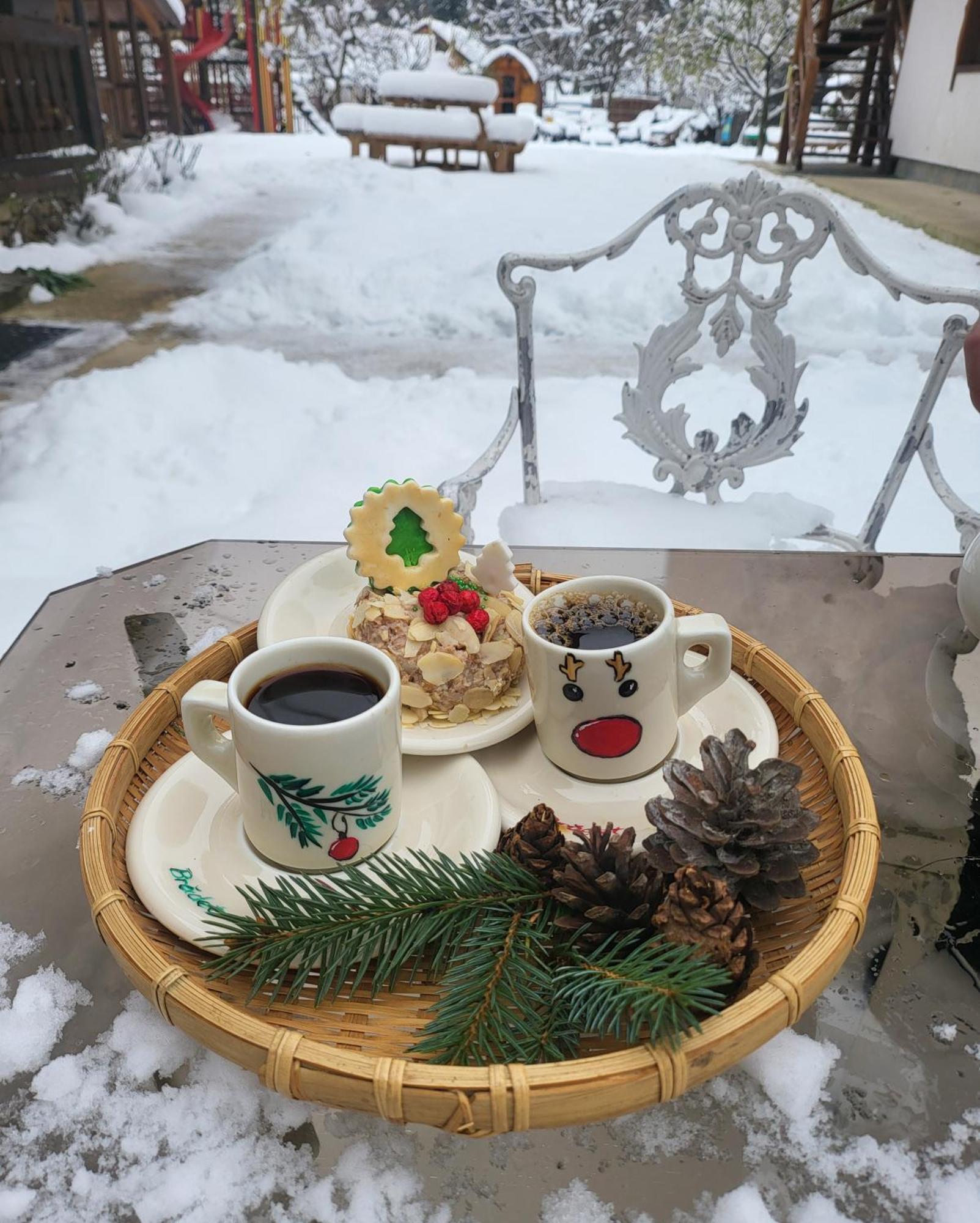 Pensiunea Bradet Brosteni Buitenkant foto